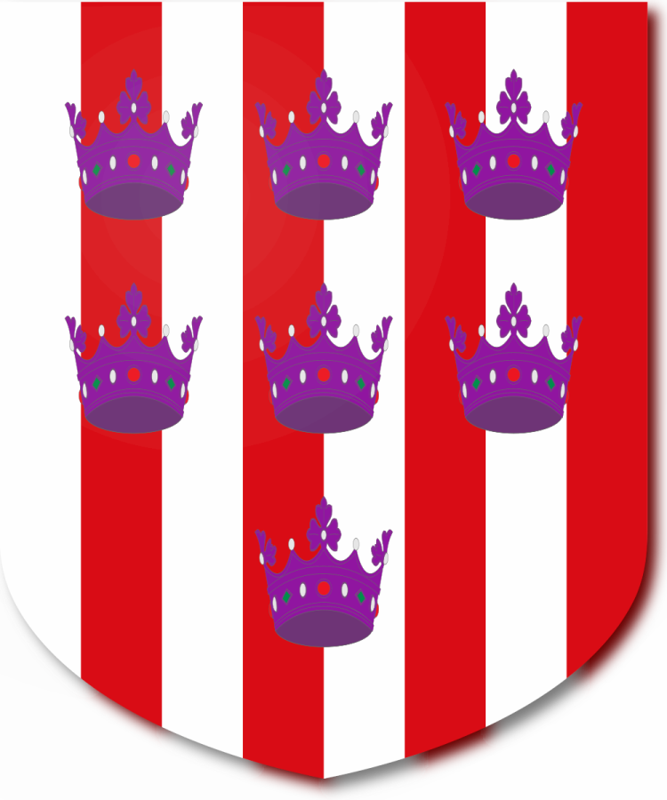 Shield image