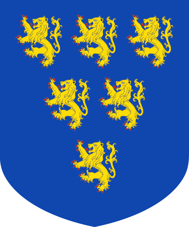 Shield image