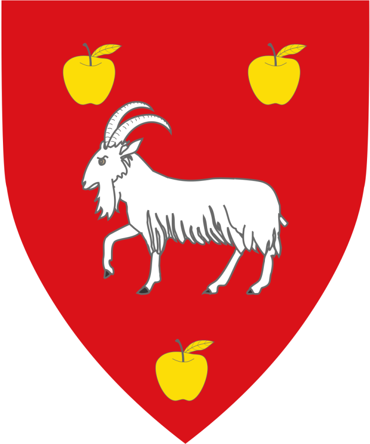 Shield image