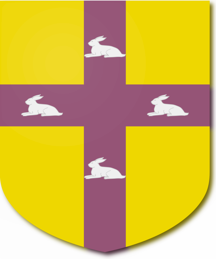 Shield image