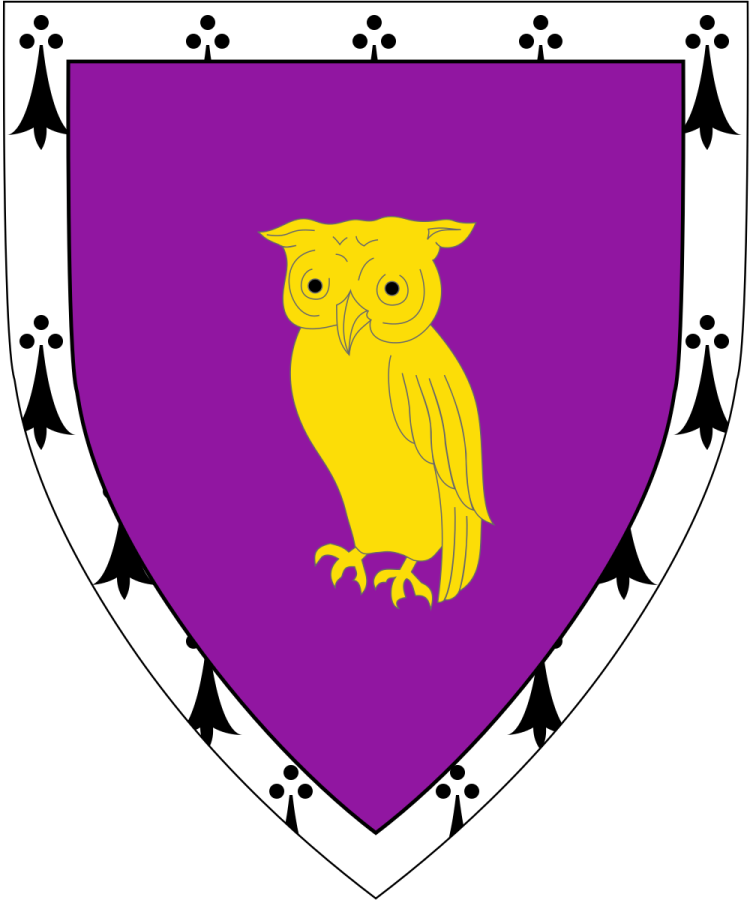 Shield image