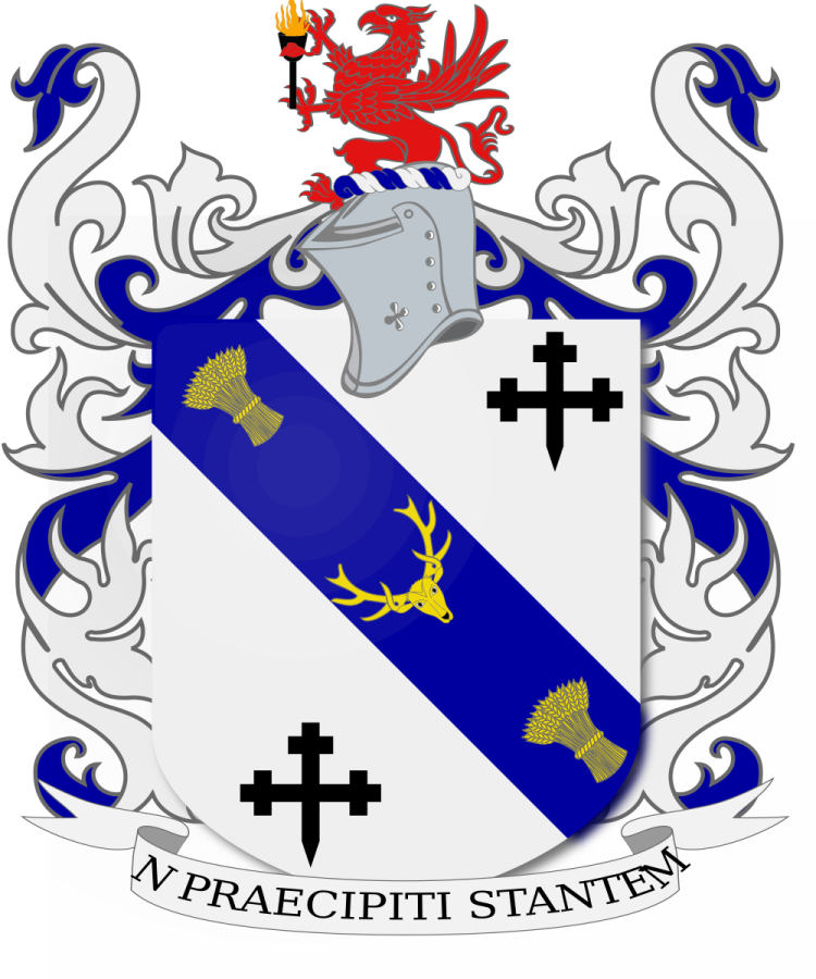 Shield image