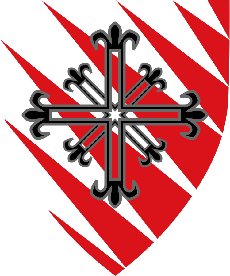 Shield image