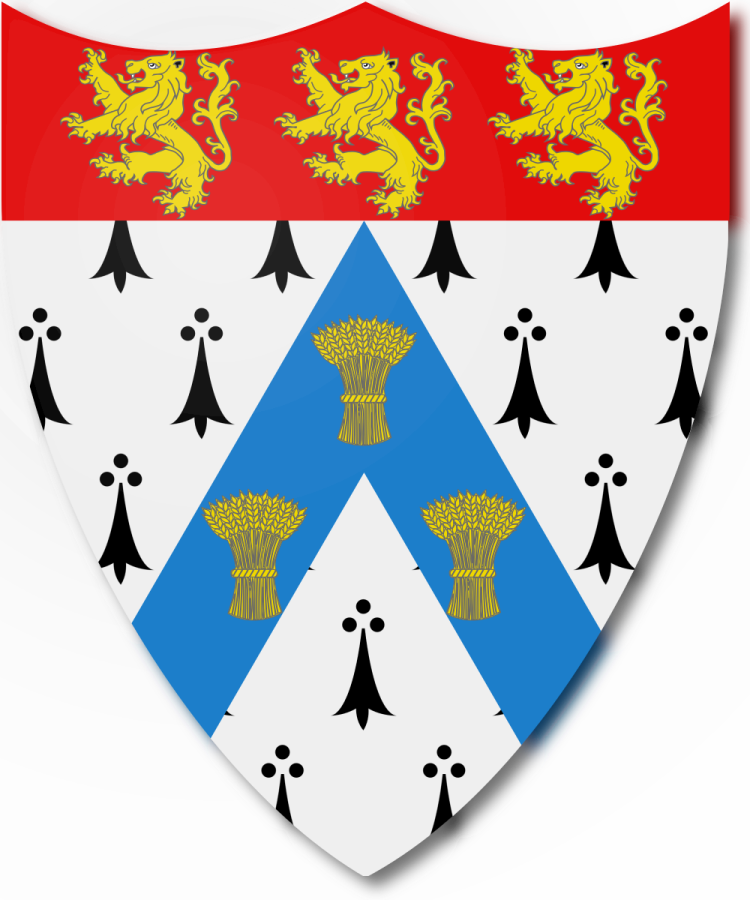 Shield image