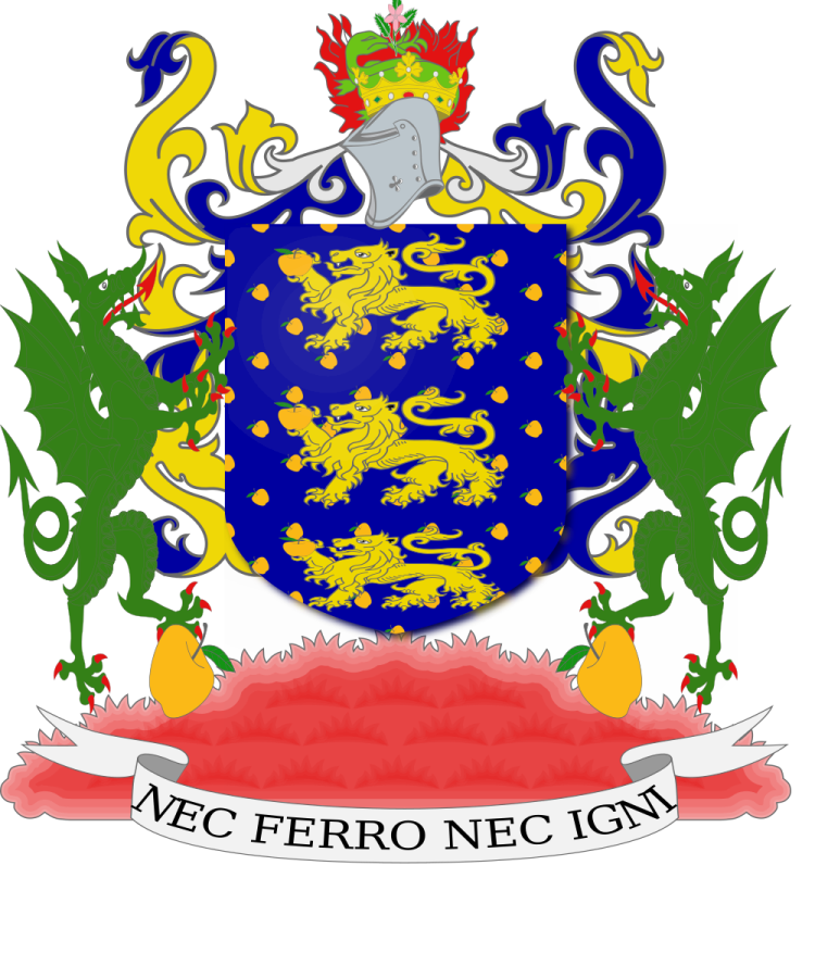 Shield image