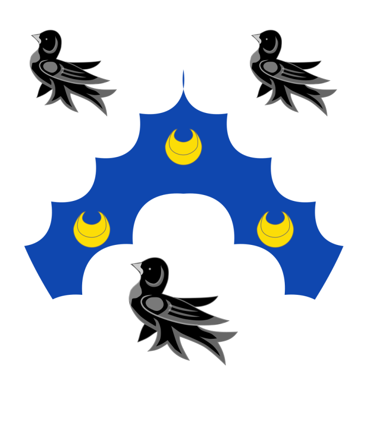 Shield image