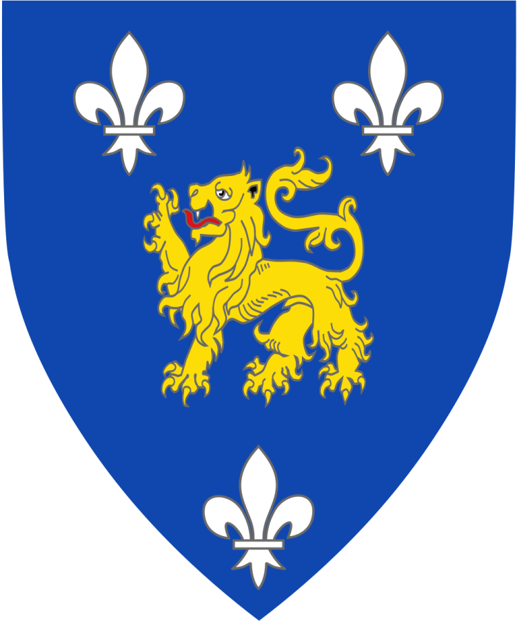 Shield image