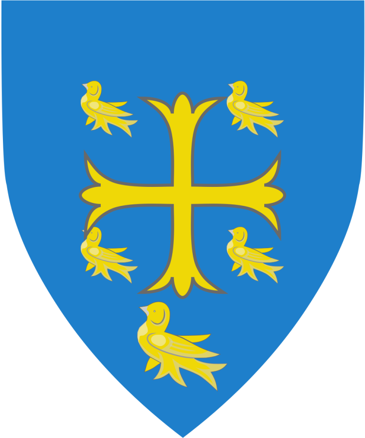 Shield image