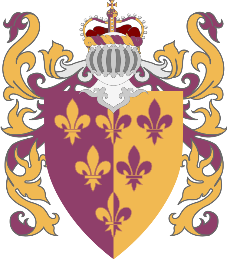 Shield image