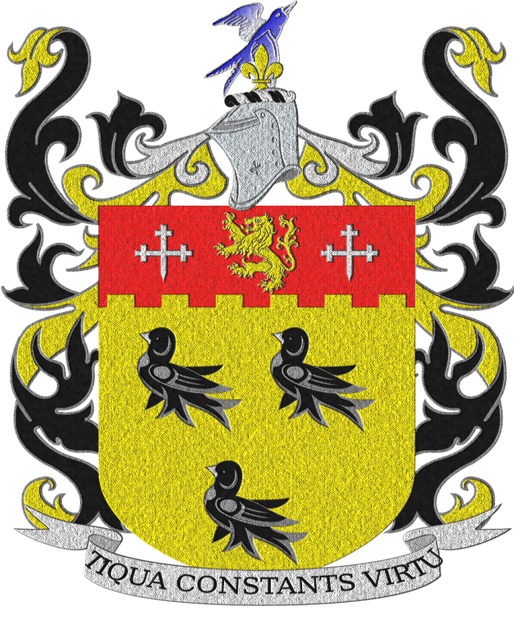 Shield image