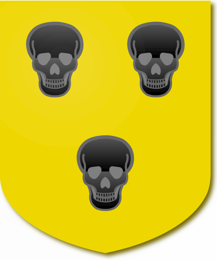 Shield image