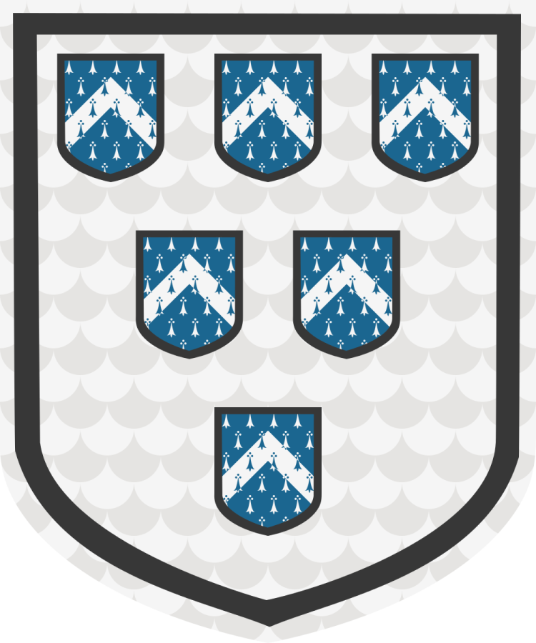 Shield image