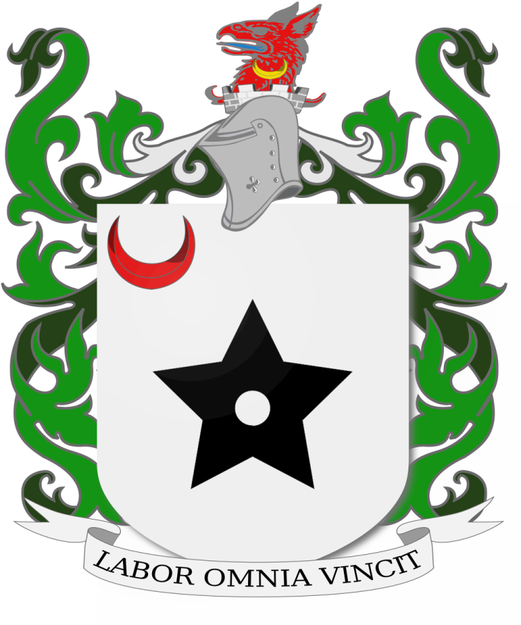 Shield image