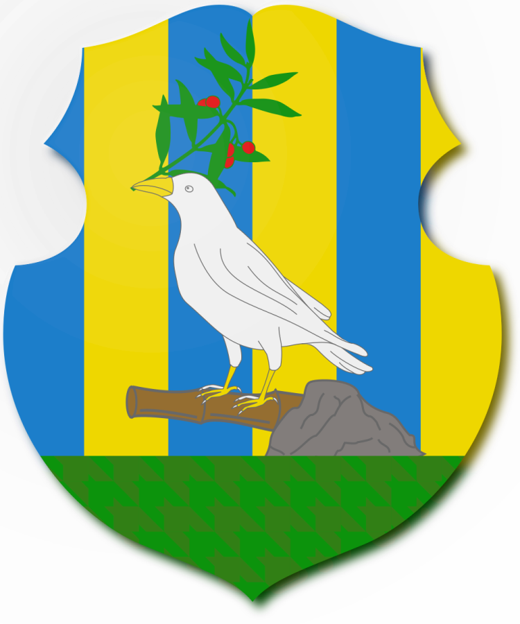 Shield image