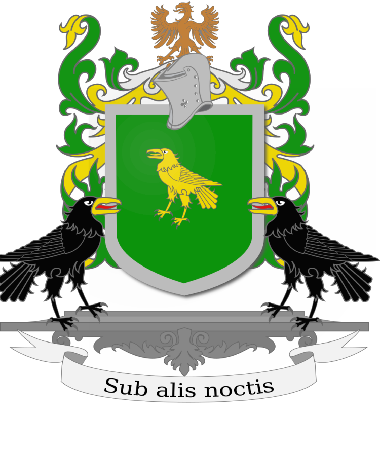 Shield image