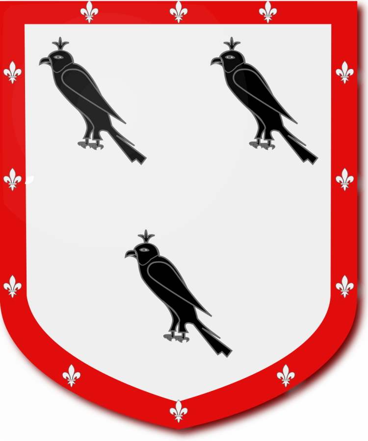 Shield image