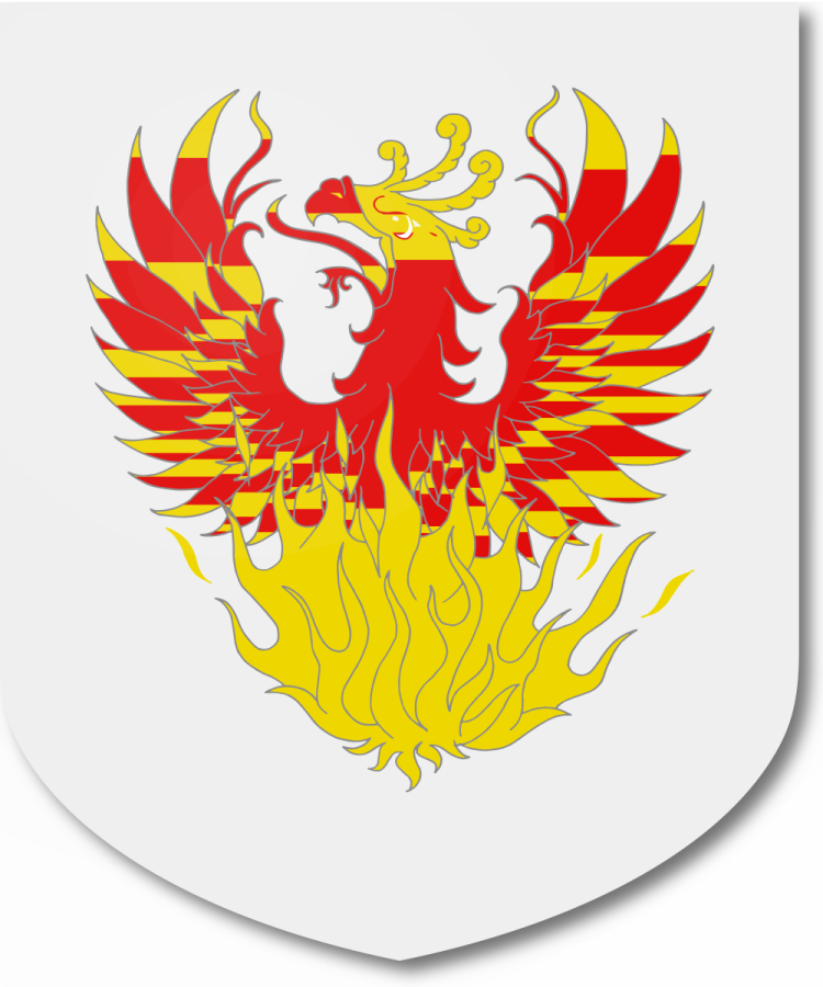 Shield image