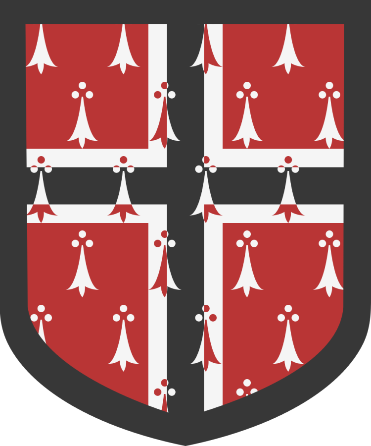 Shield image