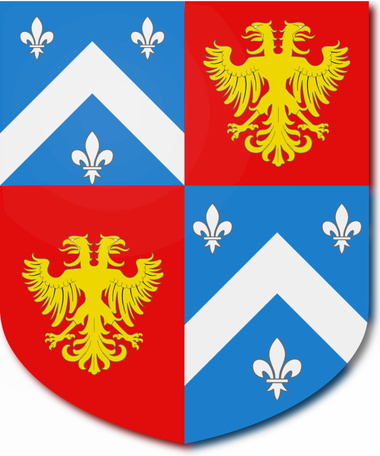 Shield image