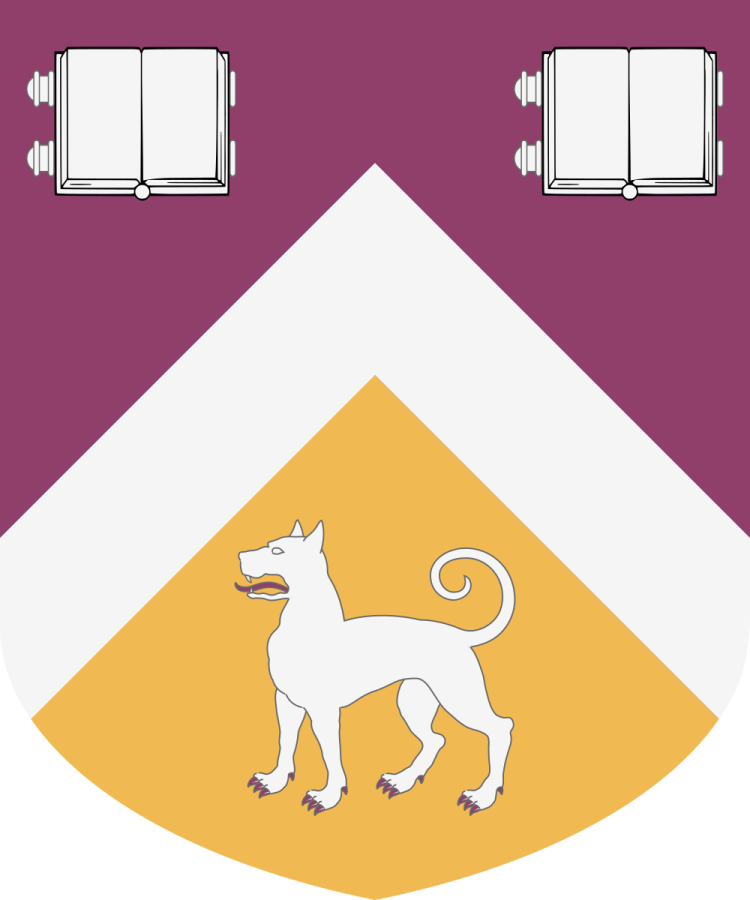 Shield image