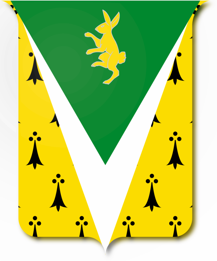 Shield image