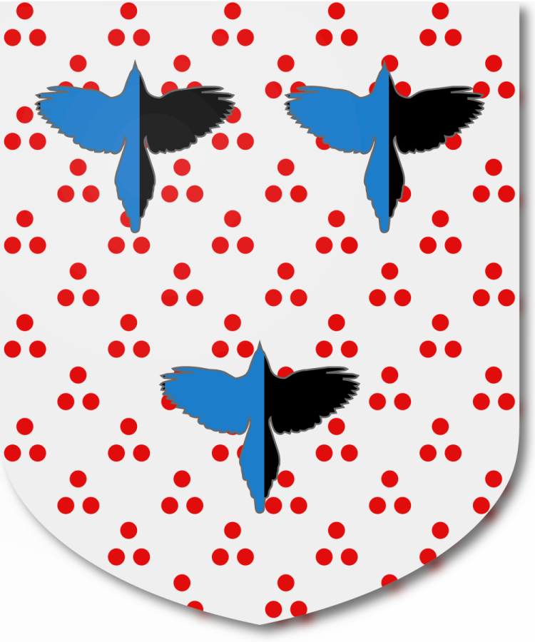 Shield image