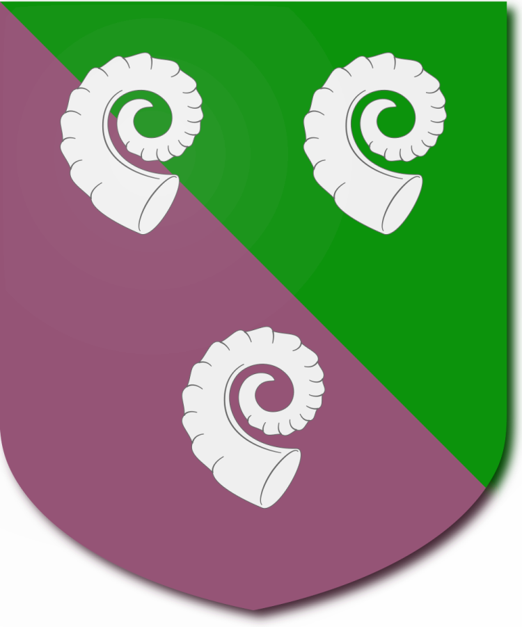 Shield image