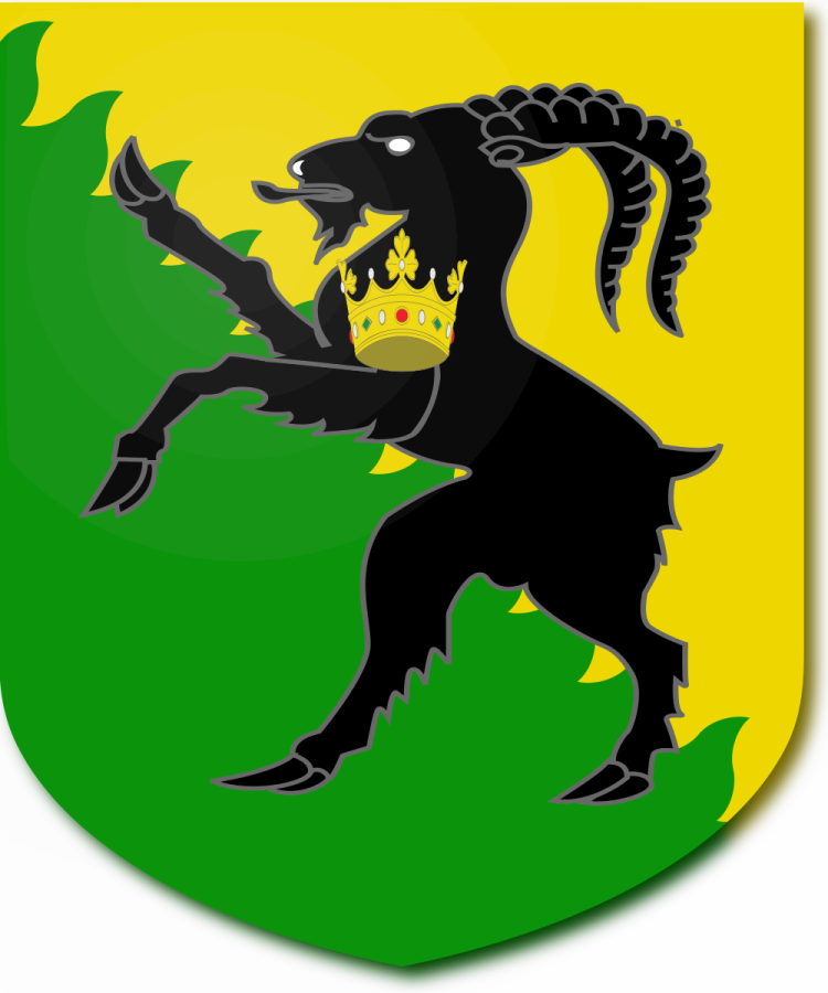 Shield image