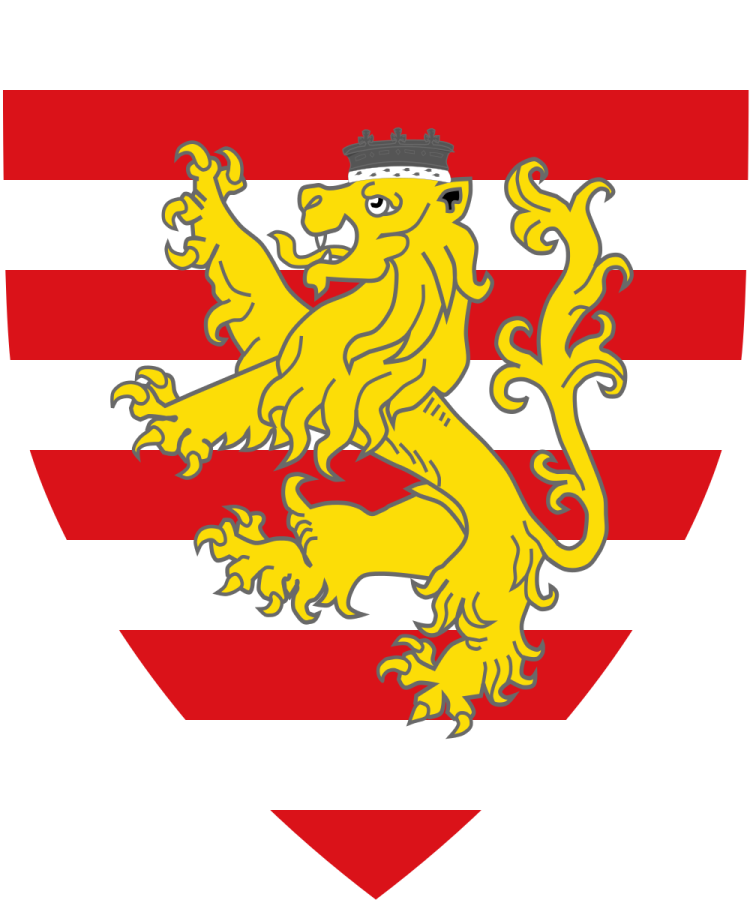 Shield image