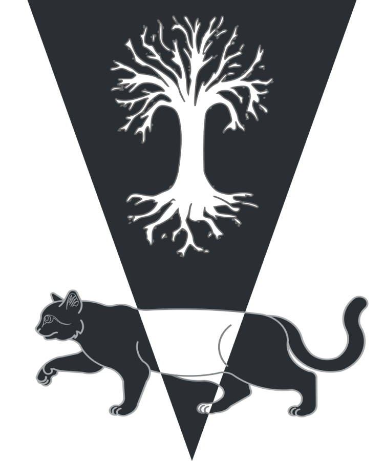 Shield image