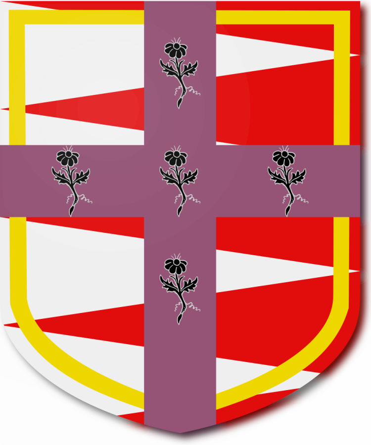 Shield image