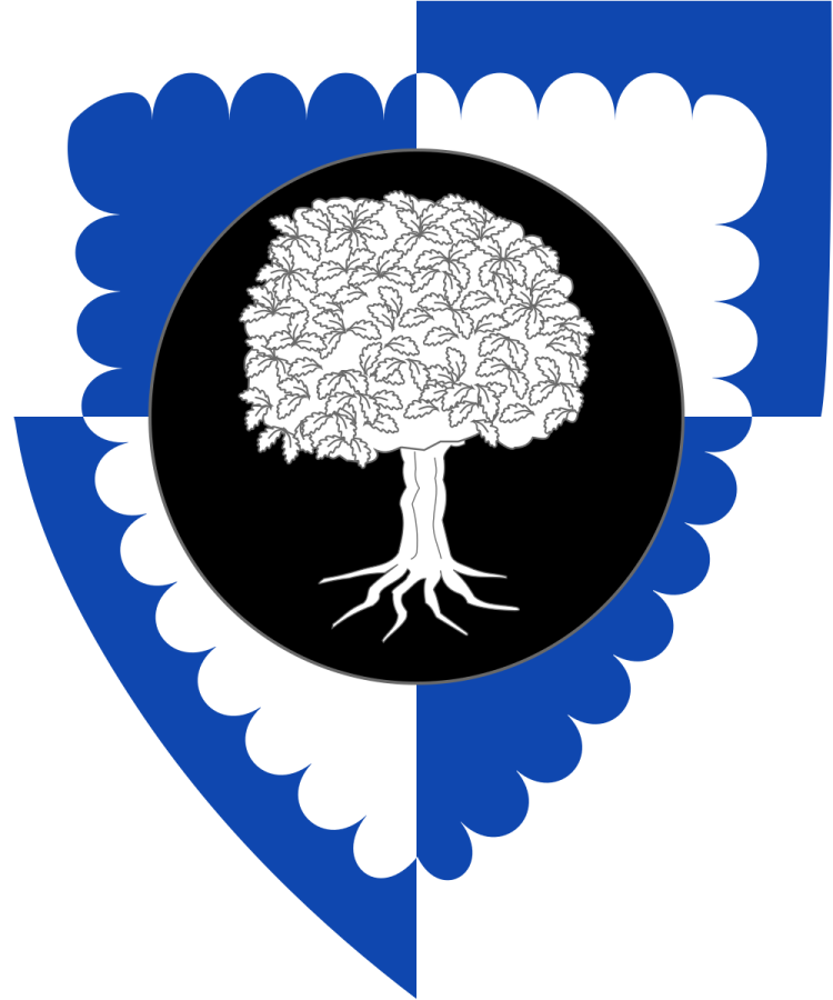 Shield image