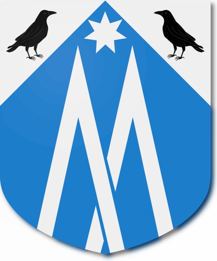 Shield image