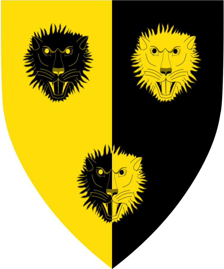 Shield image