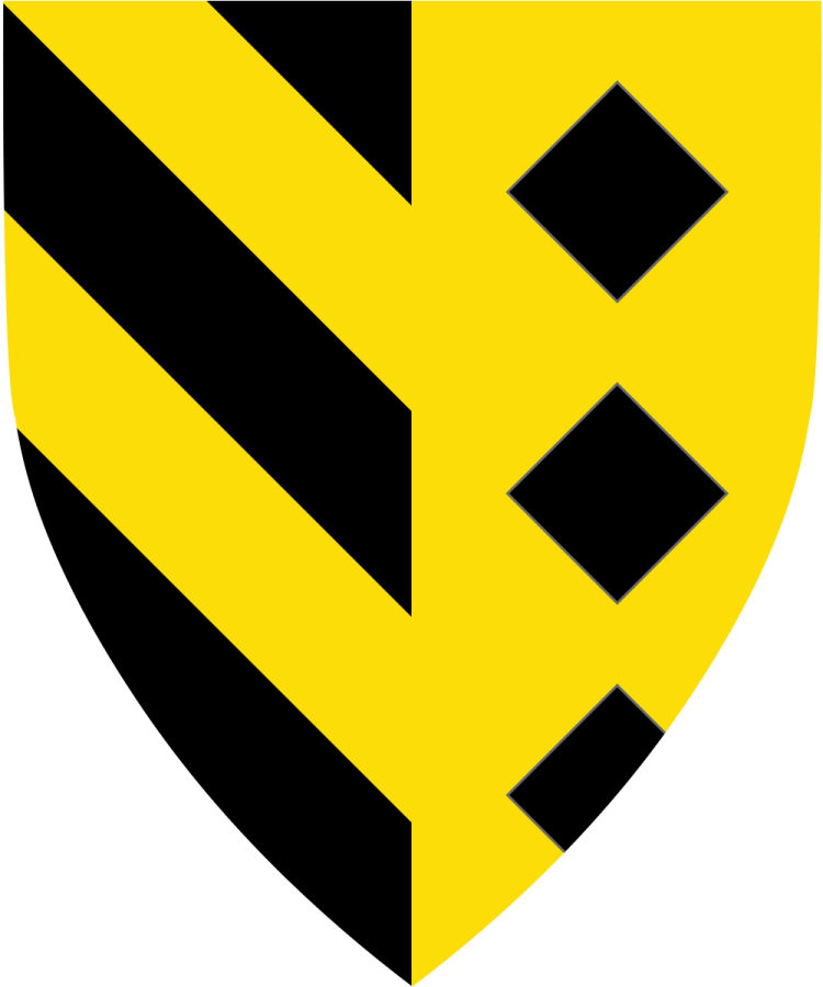 Shield image