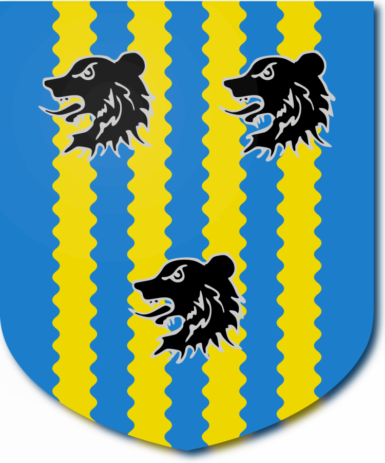 Shield image