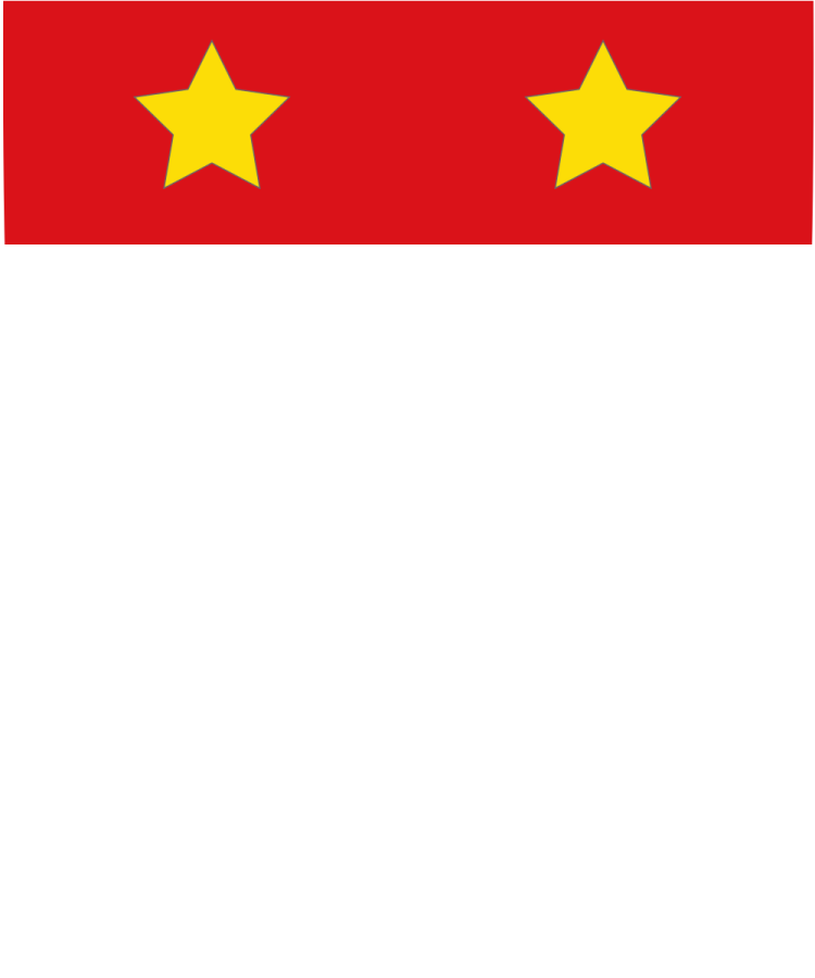 Shield image