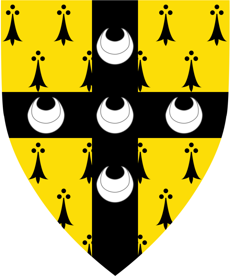 Shield image