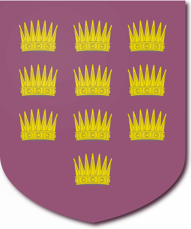 Shield image