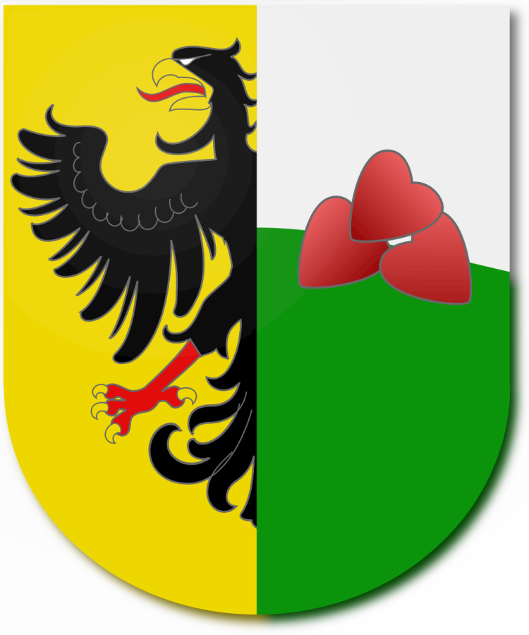 Shield image