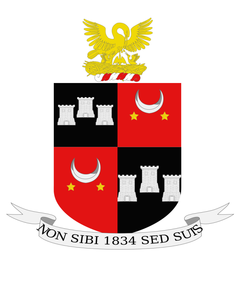 Shield image