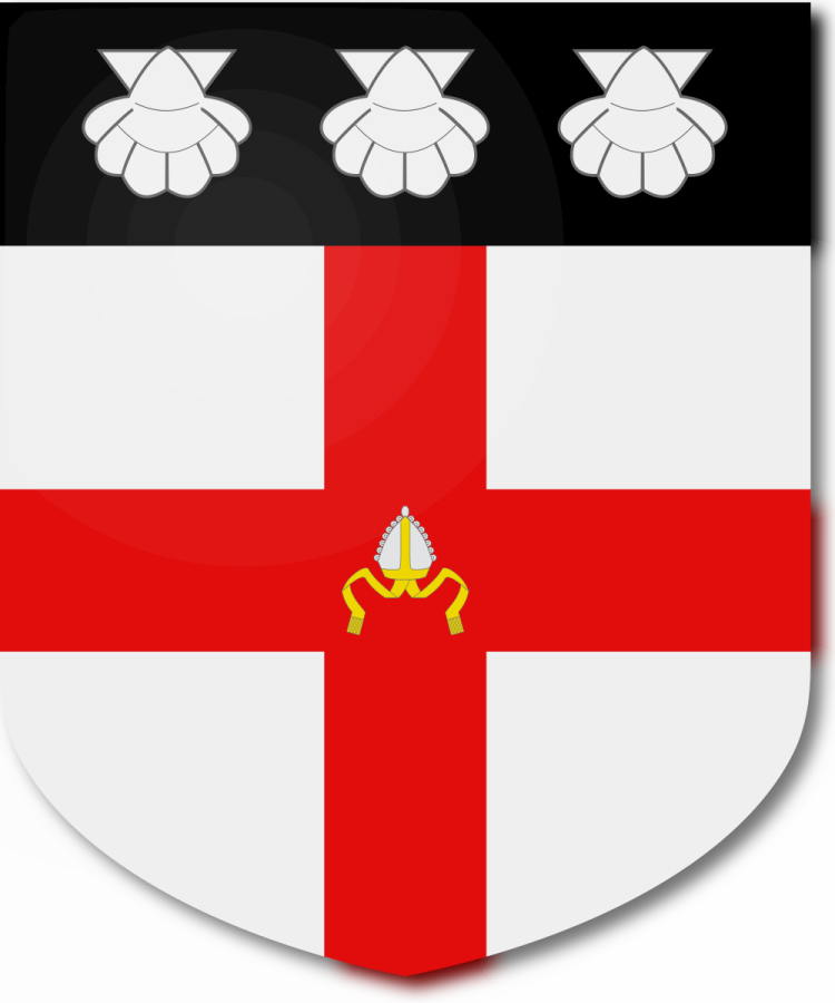 Shield image