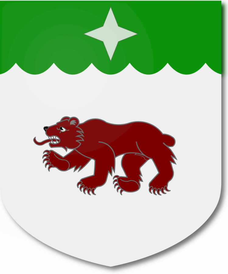 Shield image