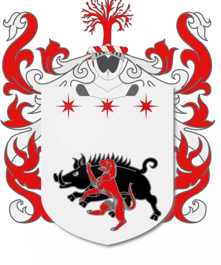 Shield image