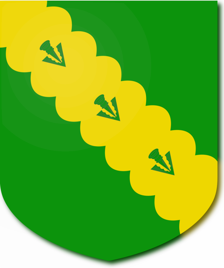 Shield image