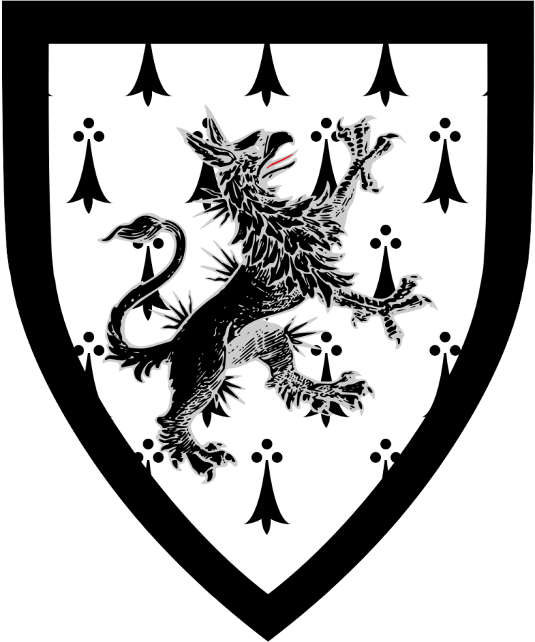 Shield image