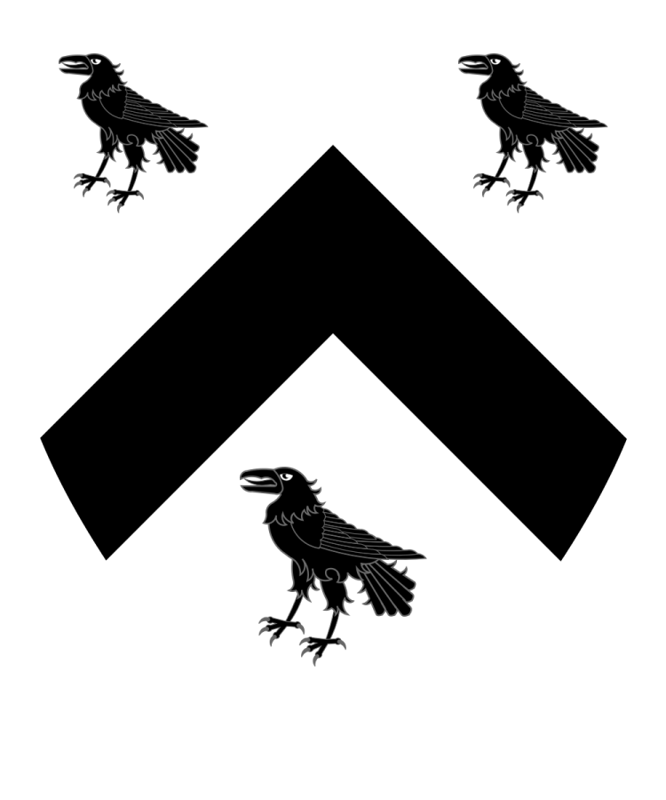 Shield image