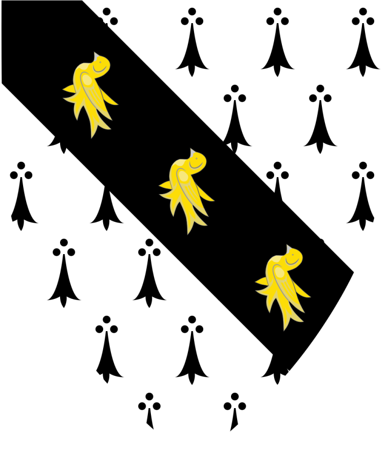 Shield image