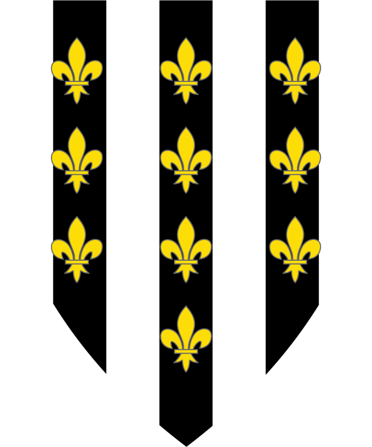 Shield image