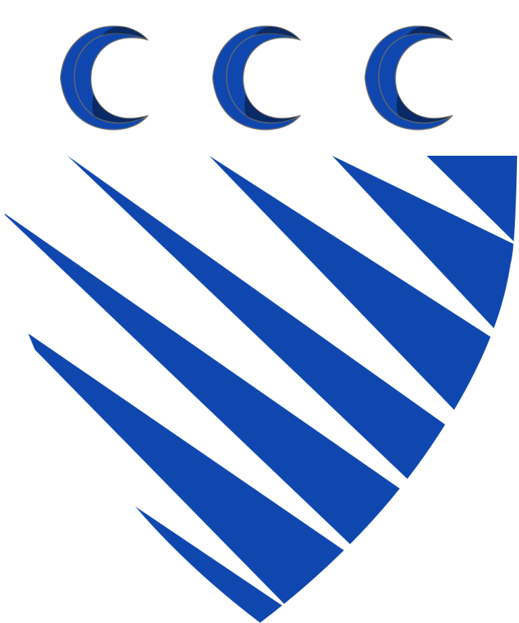 Shield image